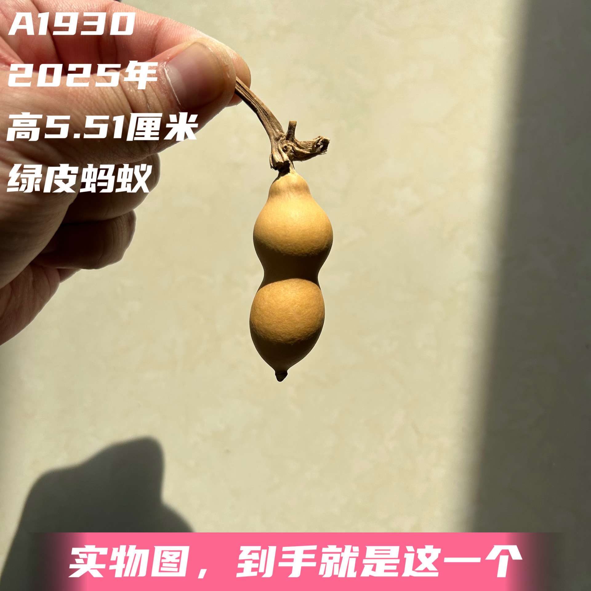 A1930高5.51厘米2025年精品手捻绿皮蚂蚁肚葫芦