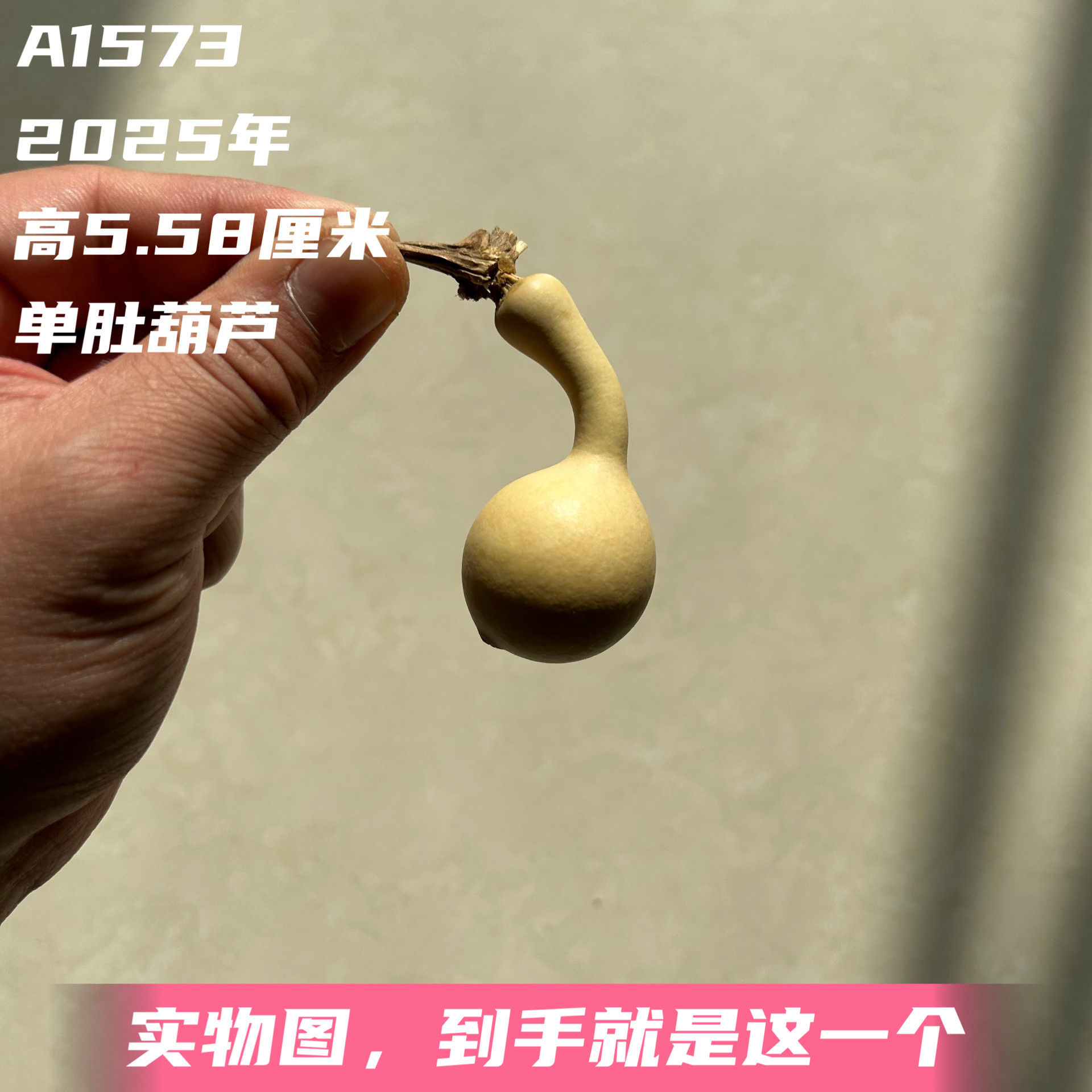 A1573高5.58厘米2025年精品手捻天津嘴翻嘴小单肚葫芦