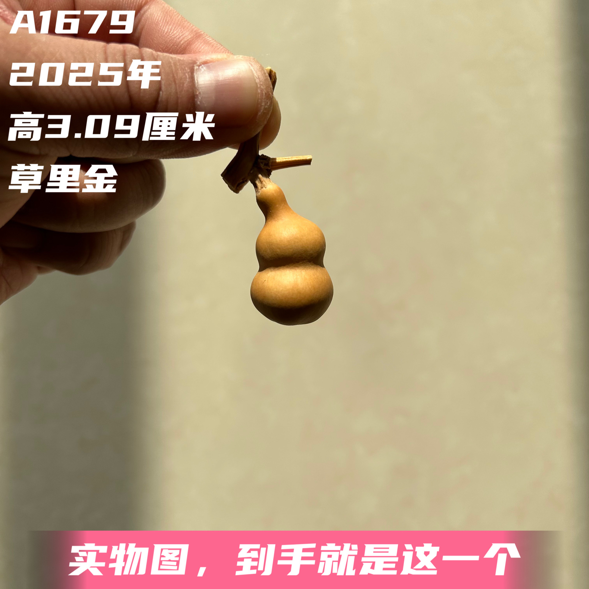 A1679高3.09厘米2025年精品手捻草里金异形小肥猪葫芦