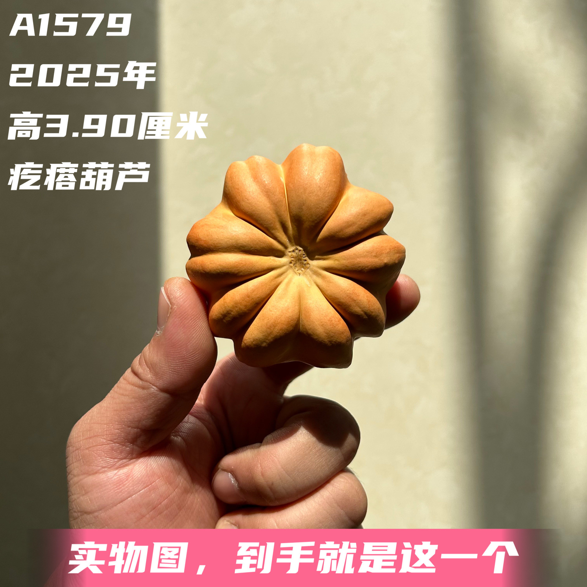 A1579高3.90厘米2025年精品手捻矮桩扁肚花瓣罐子墨西哥葫芦