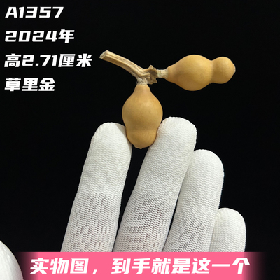 A1357高2.71厘米2024年精品手捻草里金连藤连枝葫芦