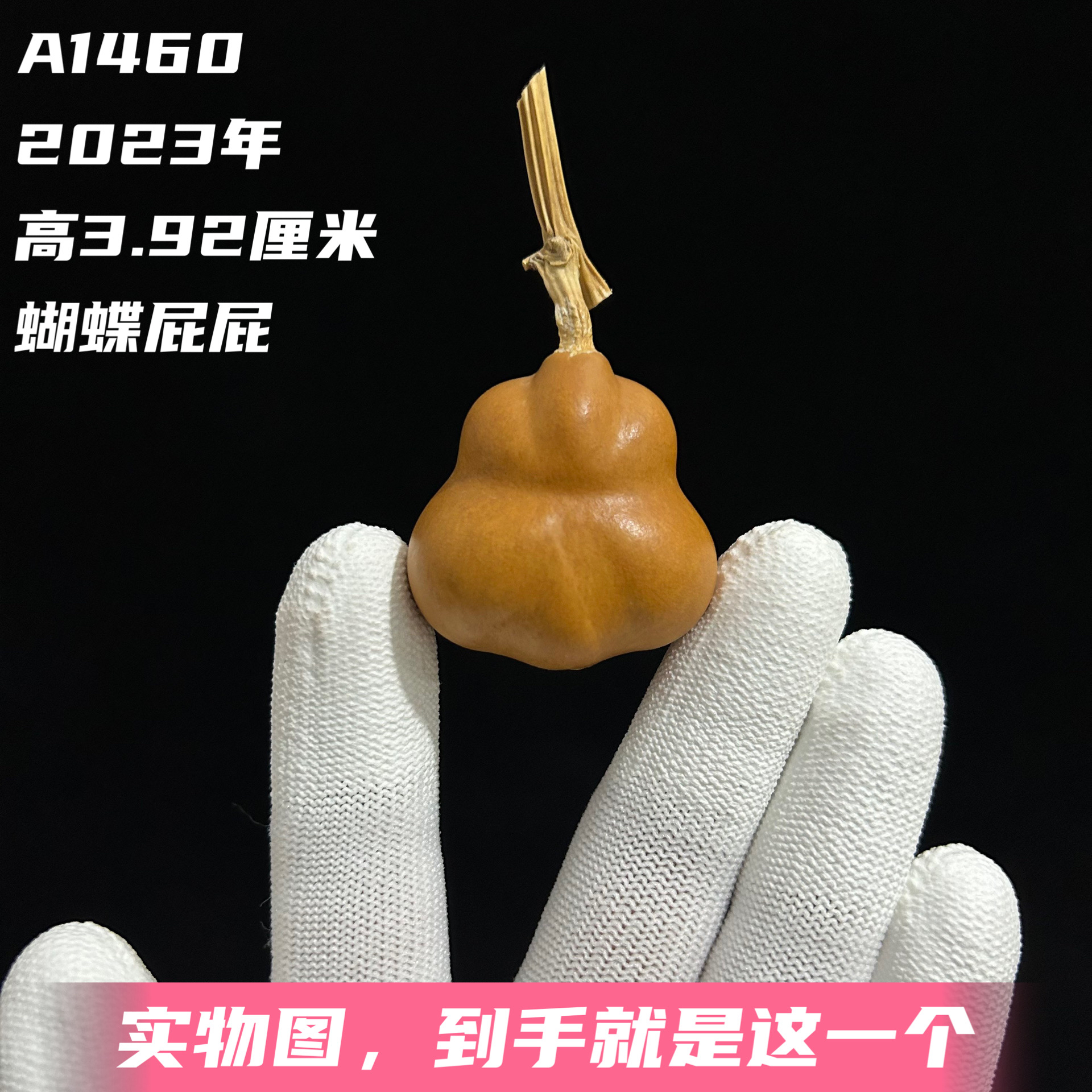 A1460高3.92厘米2023年精品手捻勒扎蝴蝶屁屁金蟾葫芦