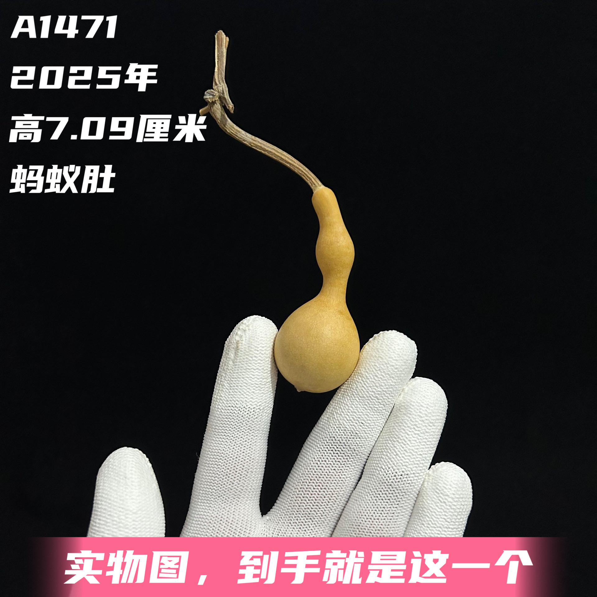 A1471高7.09厘米2025年精品手捻长嘴燕脖圆肚蚂蚁肚葫芦