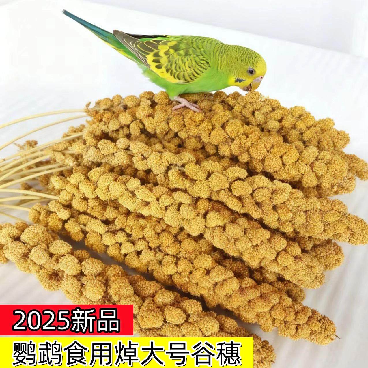 当季新鲜鹦鹉谷穗焯大个黄谷穗鸟零食鸟粮黄谷子幼鸟断奶仓鼠饲料,宠物/宠物食品及用品,鸟零食,淘宝优惠券,粉丝福利购,淘宝优惠卷