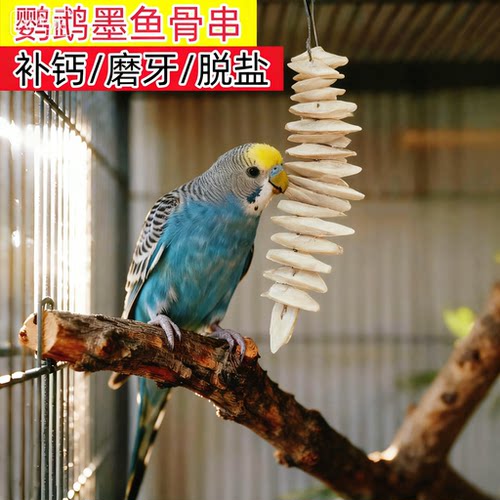 墨鱼骨鹦鹉专用磨牙棒补钙小太阳虎皮鸟玩具解闷自嗨啃咬零食大块