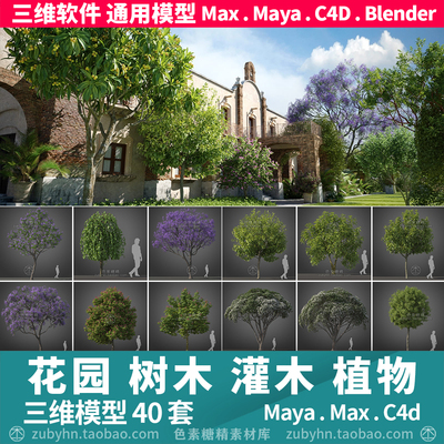 建筑装饰街道花园树木灌木植物40套3d三维模型mayamaxc4dblender