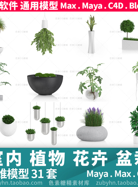 室内植物花瓶盆栽花卉3d模型三维模型31套maya3dmaxc4dblender
