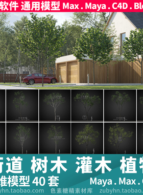建筑装饰街道花园树木灌木植物40套3d三维模型mayamaxc4dblender