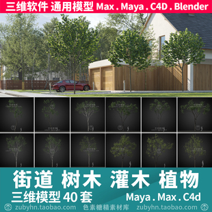 建筑装饰街道花园树木灌木植物40套3d三维模型mayamaxc4dblender