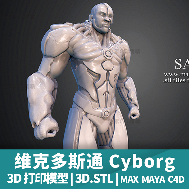 3D打印模型stl文件维克多斯通Cyborg三维立体精雕圆雕素材模型