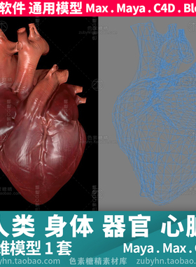人体心脏器官3d模型三维模型maya3dmaxc4dblender