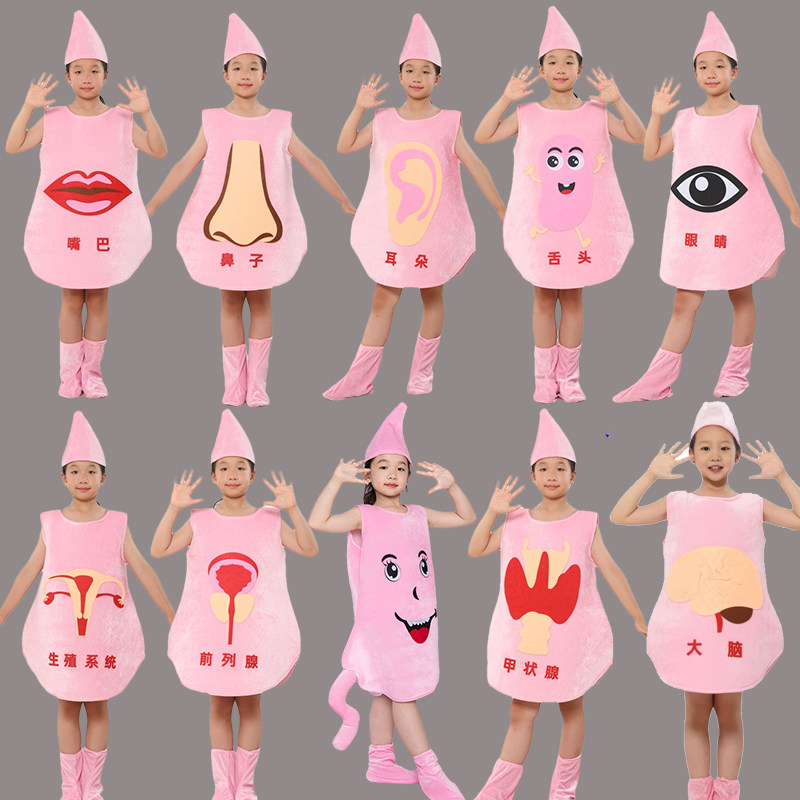 儿童人体器官扮演服装神经细胞大脑肢体肝脏胆肺大肠胃心脏表演服