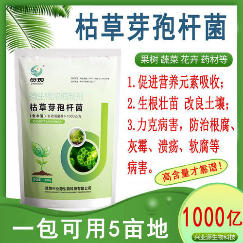 枯草芽孢杆菌（工厂直发）