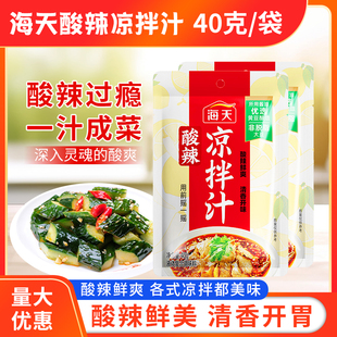海天酸辣凉拌汁40g袋装家用厨房凉拌菜调味汁酸辣鲜爽冷泡汁捞汁