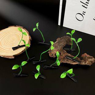 卖萌神器植物搞怪小豆芽花头上长草发芽发饰品小草发卡发夹子