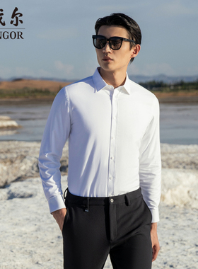 【宁儿专享】雅戈尔男士长袖衬衫秋冬新款官方商务休闲白衬衫男