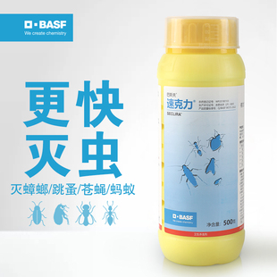 德国巴斯夫蟑螂药灭杀除跳蚤喷雾全窝非无毒室内杀虫剂500g