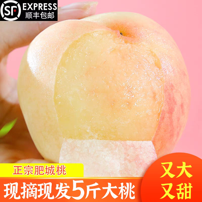 肥城桃正宗水蜜桃新鲜水果山东当季肥桃农家现摘现发桃子顺丰包邮