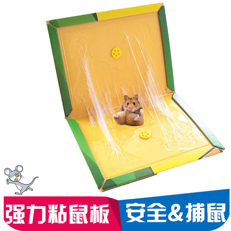 스티커 마우스 보드 초강력 스티커 보드 마우스 강력한 접착제 마우스 트랩 보드 스티커 마우스 스티커 마우스 잡기 마우스 구충제 마우스 재퍼 판지