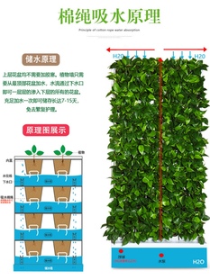 立体种花植物墙加湿净化空气室内外落地可移动自动浇水组合花盆i.