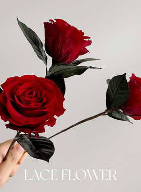 高级感单支红玫瑰永生花有叶子的保鲜花真花干花居家客厅摆放装饰