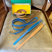 狗牙戈雅狗狗 牵引绳中小型犬项圈比熊法斗脖圈绳子脖套高颜值