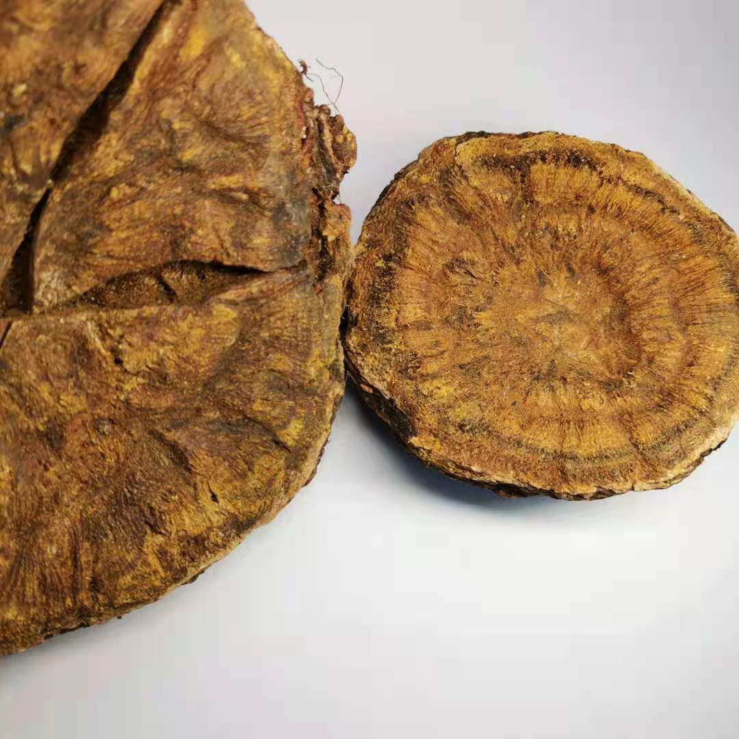 植物炼金术 大黄 四川唐古特大黄合香制香原料