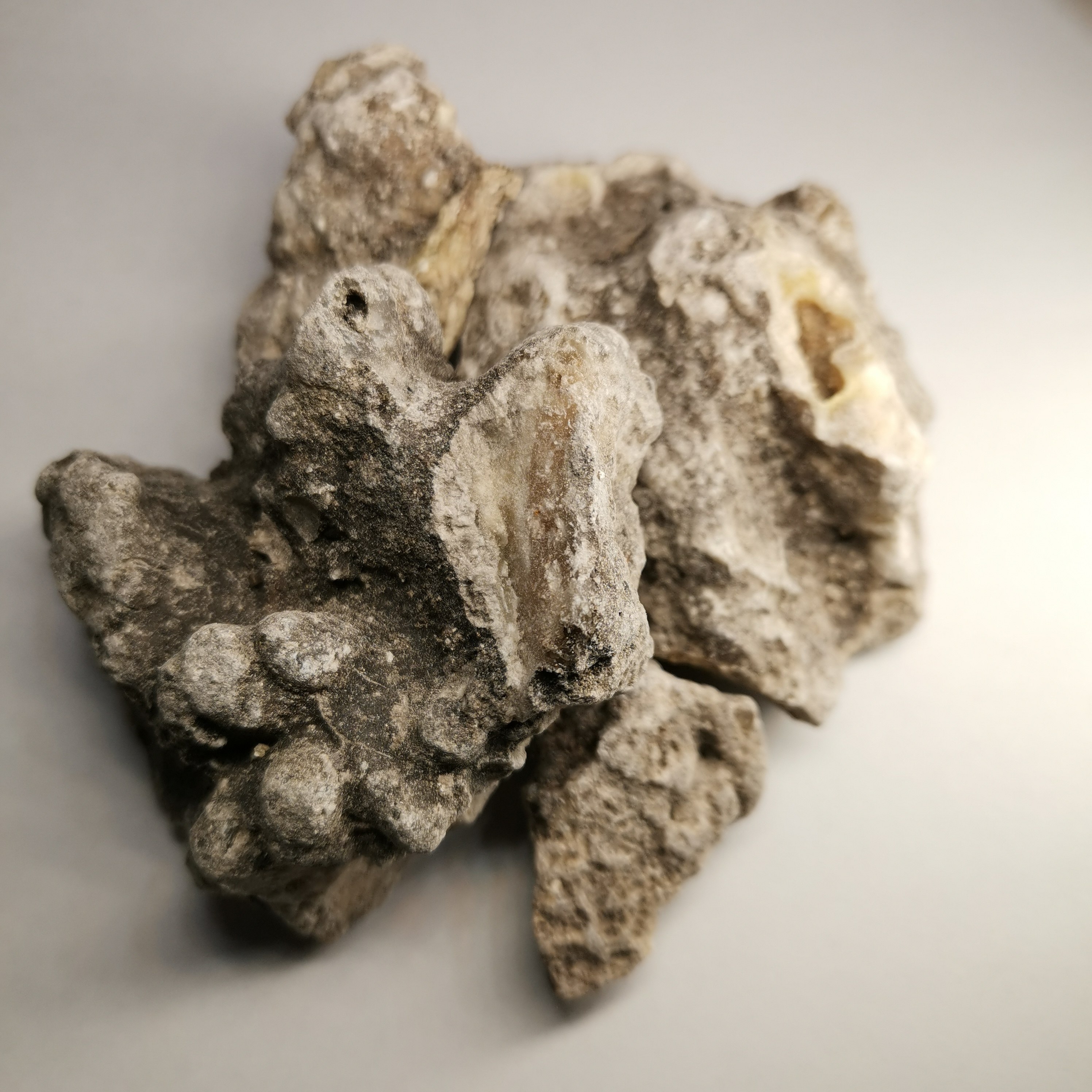 植物炼金术 黑柯巴脂 印加传统神之飨宴合香制香原料