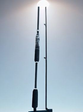 黑色碳素M调性泛用路亚竿