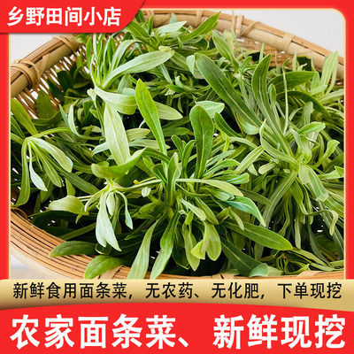 面条菜新鲜面条棵现摘山东包邮