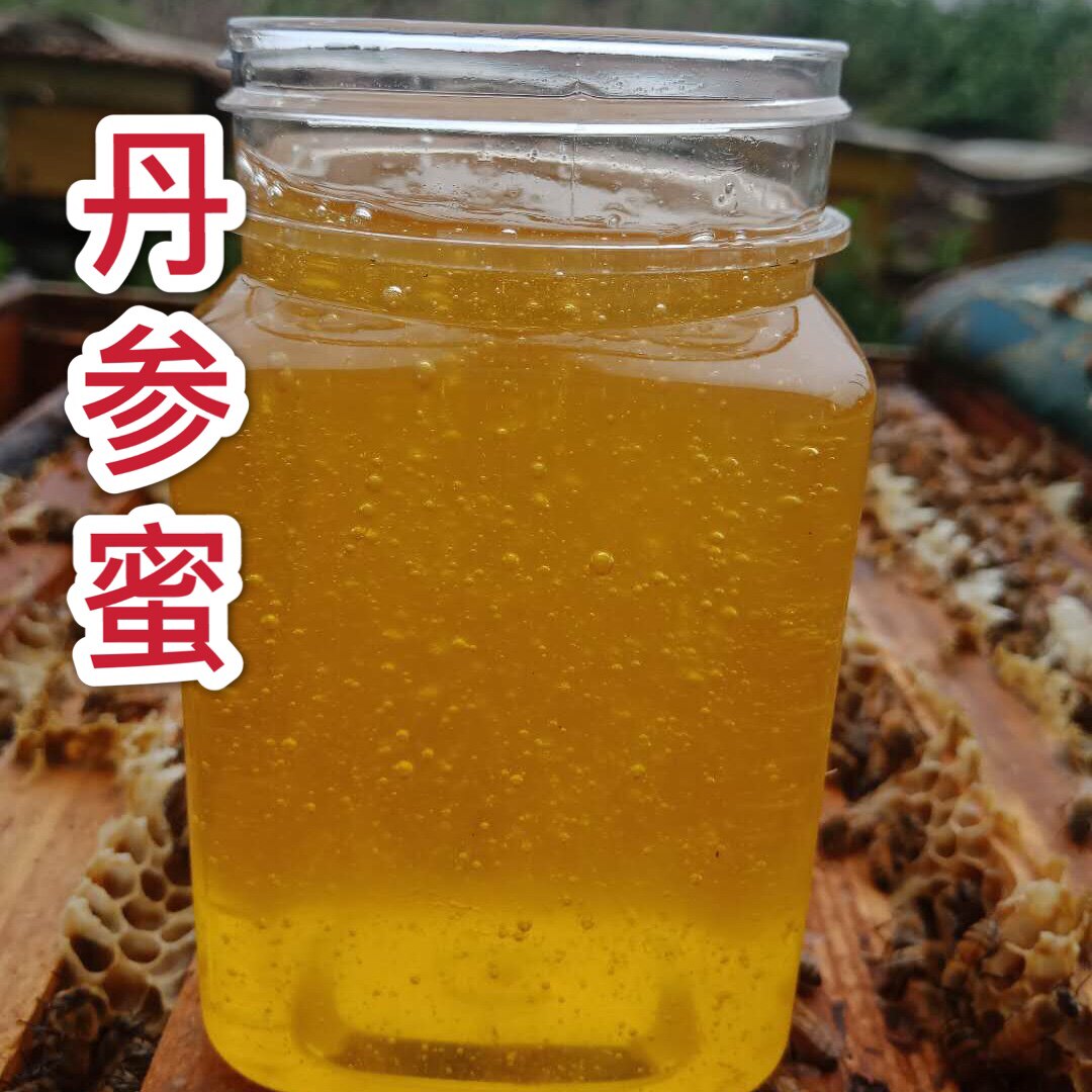 【胖蜂园】买二送一42度丹参蜜农家自产纯正天然蜂蜜500克包邮