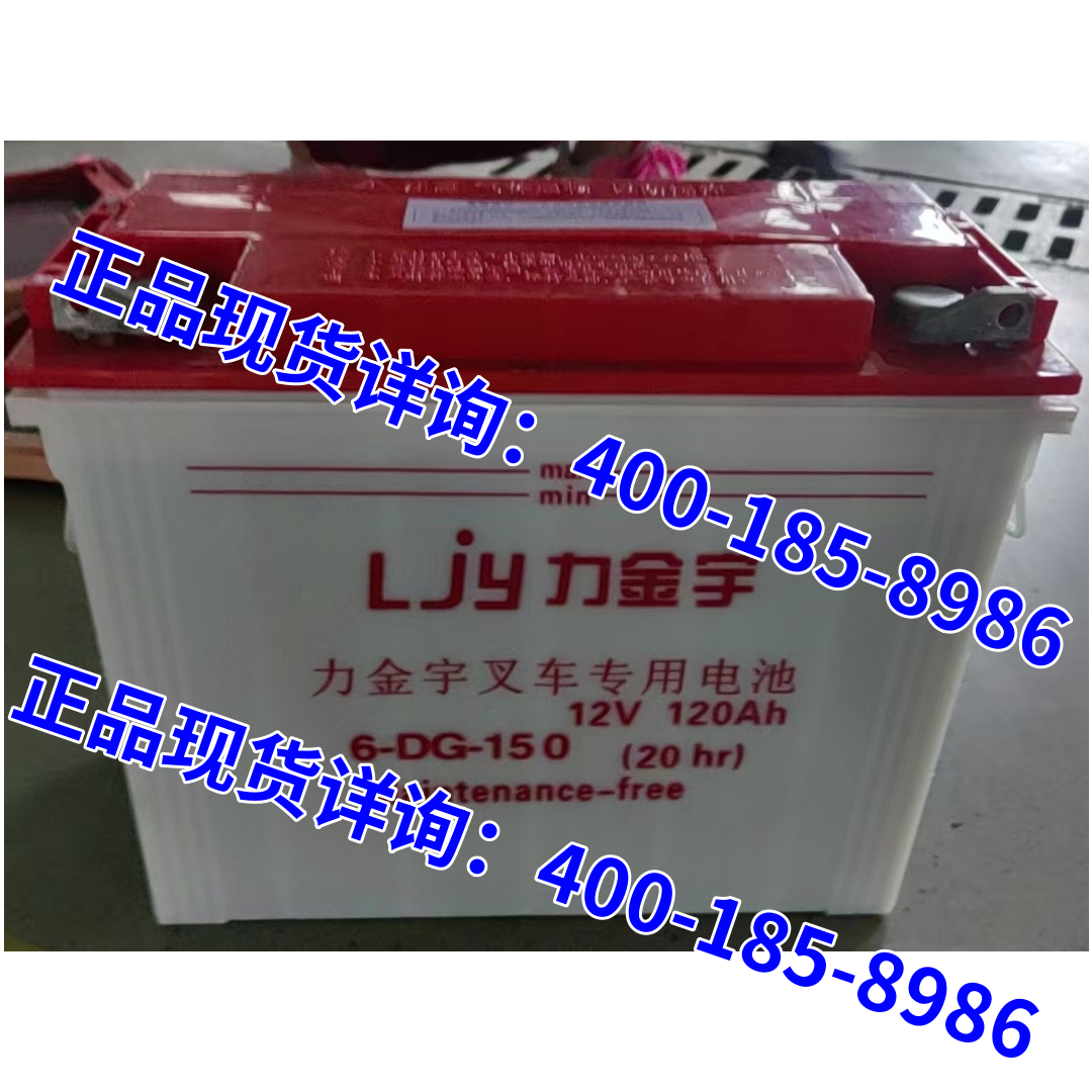 力金宇蓄电池6-DG-15012V120AH
