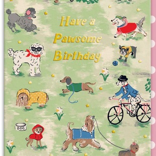 「SHUNA」设计师联名款 复古摩登的英国原版烫金生日贺卡问候卡