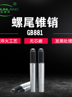 GB881外带螺纹圆锥销m16螺尾锥销m14 高强度1:50外丝销子m16×100