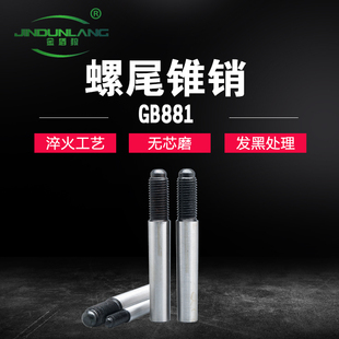 外螺纹圆锥销高强度螺尾锥销外螺纹元锥销GB881螺纹销子M20×230