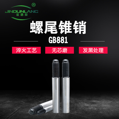 GB881外带螺纹圆锥销m16螺尾锥销m14 高强度1:50外丝销子m16×100