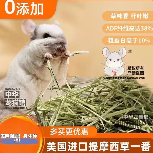 今年新美提一番高纤维磨牙