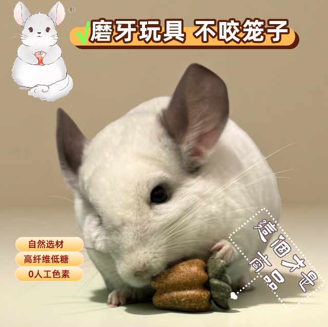萃微益天然磨牙玩具龙猫兔子豚鼠