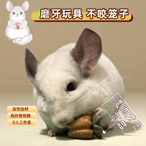 萃微益天然磨牙玩具龙猫兔子豚鼠