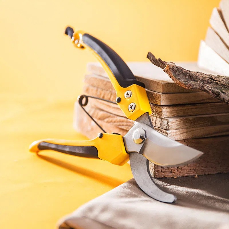 剪枝剪刀园艺树枝修枝剪花艺剪刀果树剪子神器剪树枝专用剪子