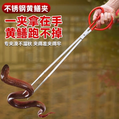 捕泥鳅黄鳝夹鳝鱼夹子不锈钢钳子防滑赶海神器抓螃蟹龙虾专用工具