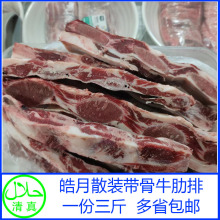 皓月带肉牛肋排清真新鲜冷冻牛排骨散装牛肋骨新鲜生牛肉三斤包邮