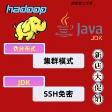 远程hadoop搭建集群hadoop安装分布式远程jdk配置ssh免密java环境