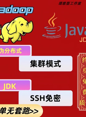 远程hadoop搭建集群hadoop安装分布式远程jdk配置ssh免密java环境
