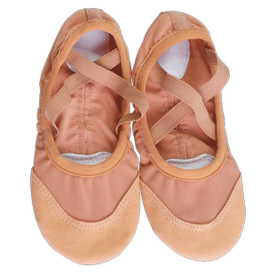 舞蹈鞋女软底练功鞋专业弹力布网纱鞋显脚背教师夏季猫爪网面透气