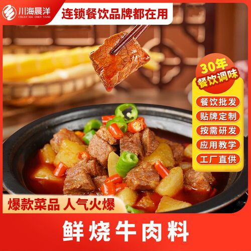 川海晨洋鲜烧牛肉牛腩红油料川味