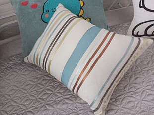 外贸尾货精品绣花抱枕套腰枕套车枕靠枕汽车腰枕套30X40CM