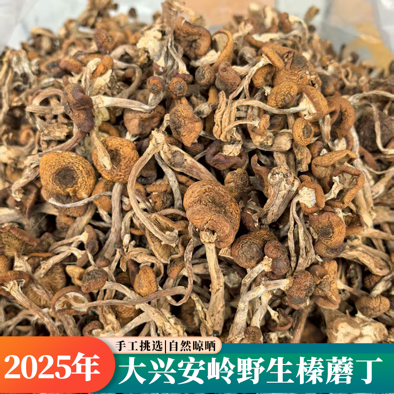 【2025年新货】东北特产野生榛蘑干货大兴安岭小鸡炖榛蘑丁菌菇