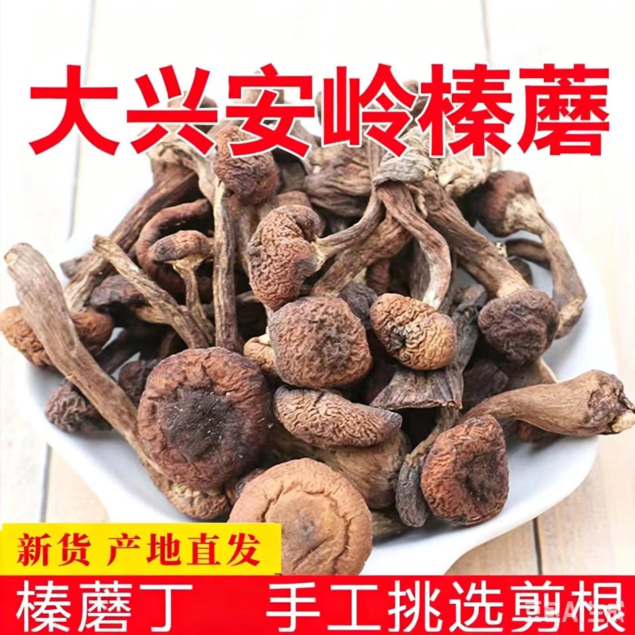 野生榛蘑新货东北蘑菇丁干货大兴安岭手选小鸡炖蘑菇500克