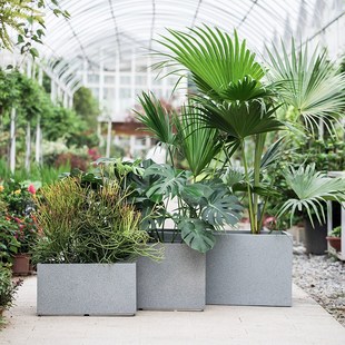 研仓制长方形花盆仿水泥镁泥多肉绿萝月季 富贵竹盆景大号长条花槽